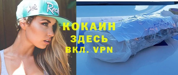 дживик Богородицк