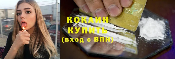 мдпв Богородск