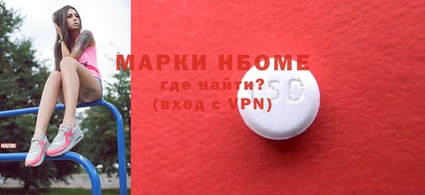 дживик Богородицк
