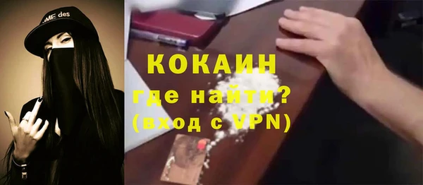 дживик Богородицк