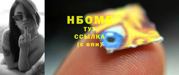 мдпв Богородск
