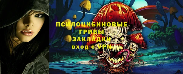 мдпв Богородск