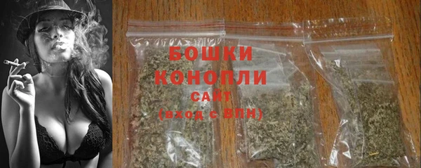 дживик Богородицк