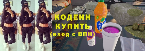 дживик Богородицк