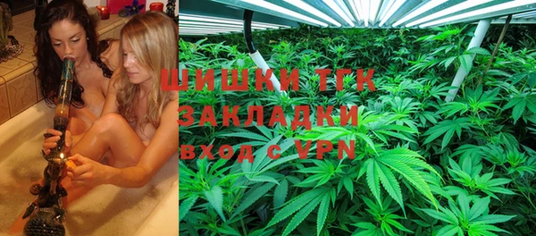 дживик Богородицк